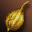 Seed: Golden Coba
